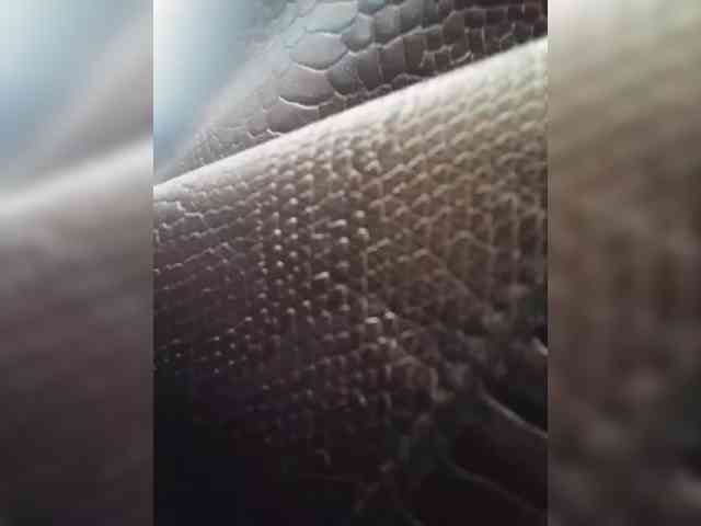 KlientVsegdaPrav webcam