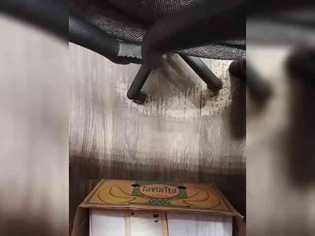 KlientVsegdaPrav webcam