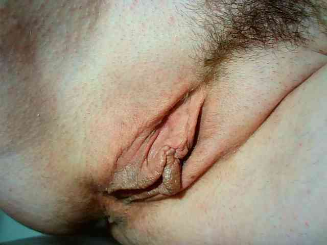 Xollan webcam