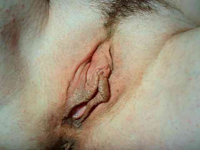 Xollan webcam