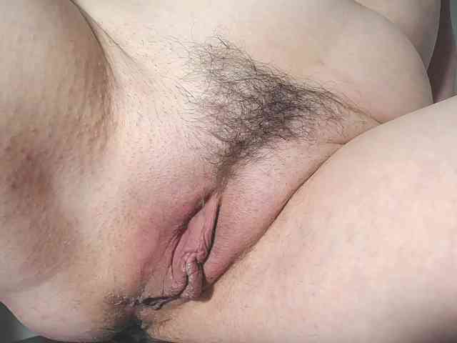 Xollan webcam