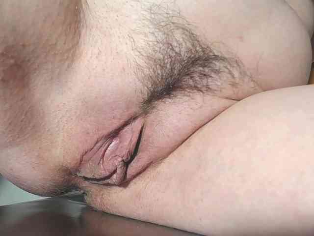 Xollan webcam
