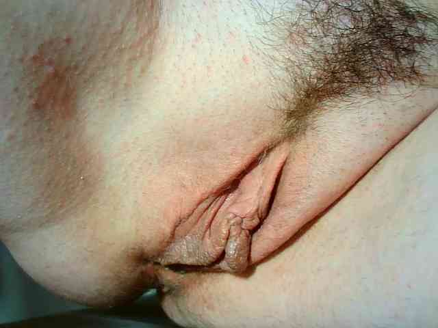 Xollan webcam