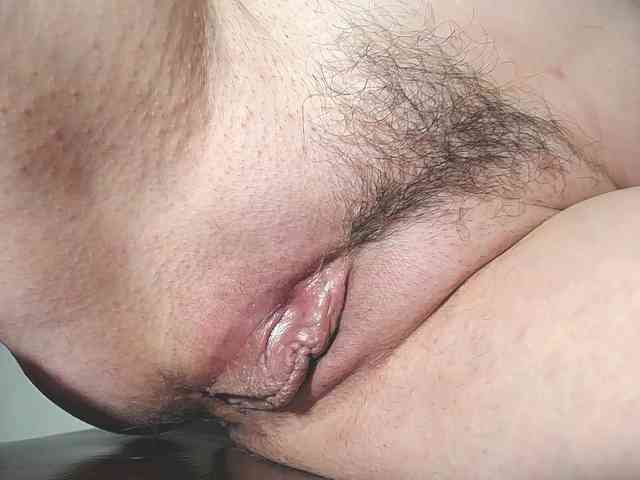 Xollan webcam