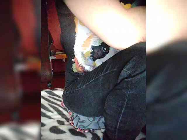 111_Sensuality_000 webcam