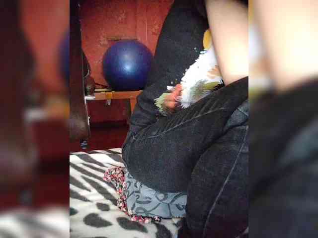 111_Sensuality_000 webcam