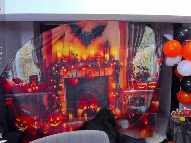 ChristalX webcam