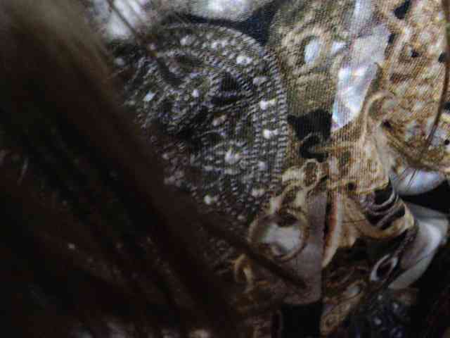 OXOTA- webcam