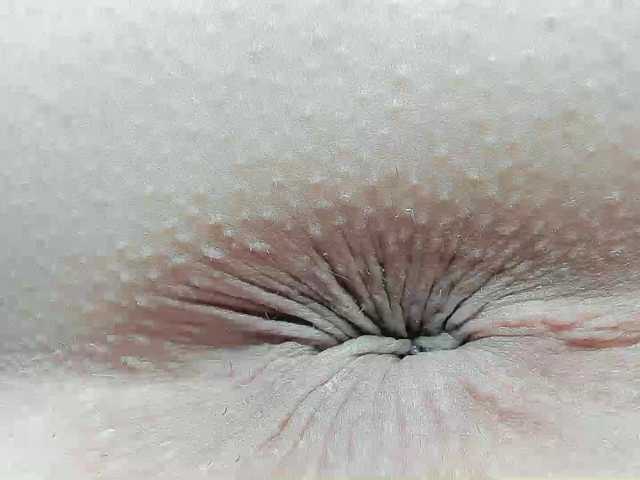 pevicha