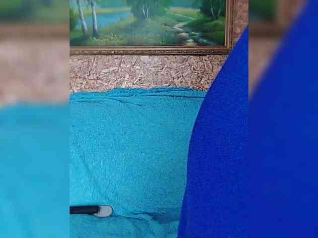 -Your_dream- webcam