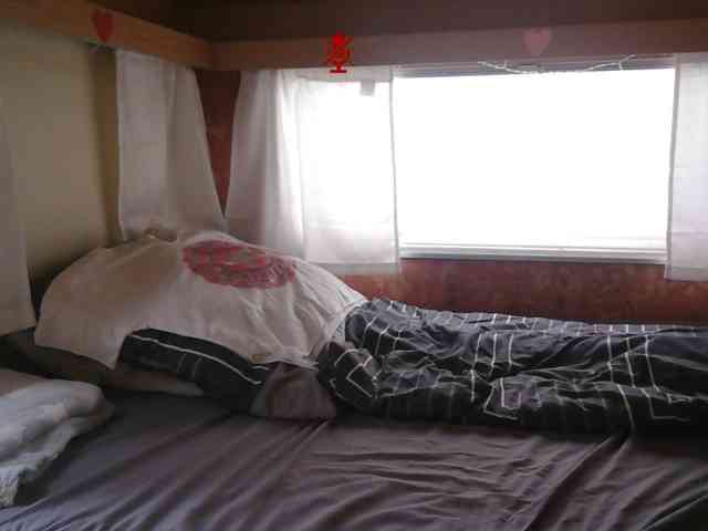illymaus webcam