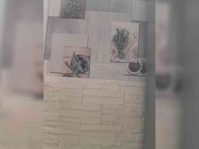 Anesteishen webcam