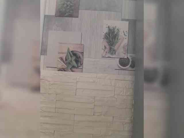 Anesteishen webcam