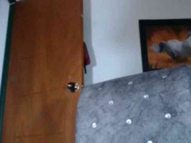 JANEX69SQUIRT webcam