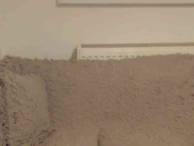 EdenaVega webcam