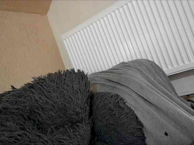 curvyana webcam