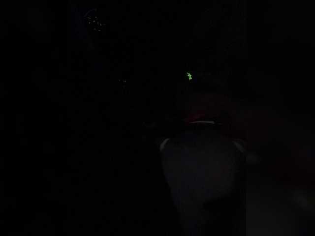 Entra en el chat con el modelo SallyeLeins SallyeLeins