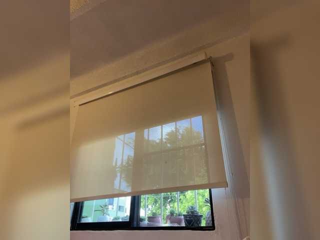 SallyeLeins SallyeLeins