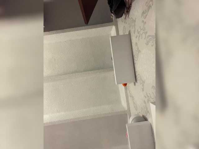 SallyeLeins SallyeLeins