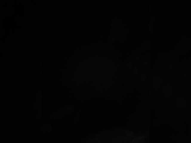 go to chat with SallyeLeins