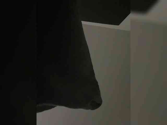 SallyeLeins webcam