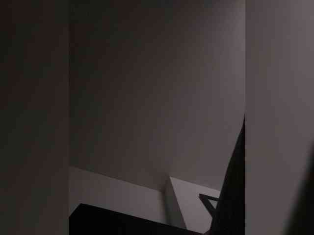 SallyeLeins webcam