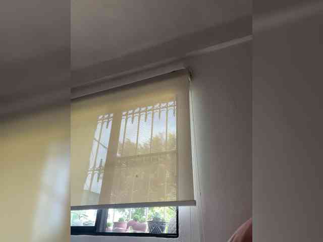 SallyeLeins webcam