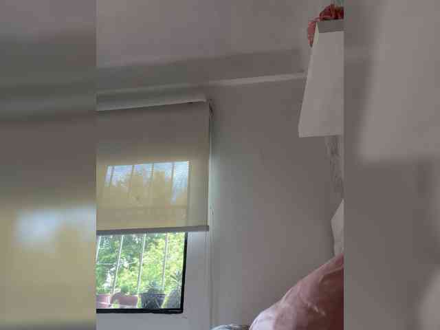 SallyeLeins webcam