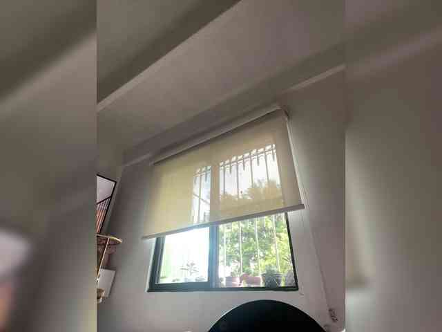 SallyeLeins webcam