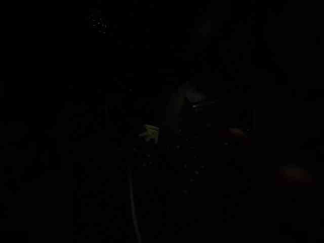 SallyeLeins webcam