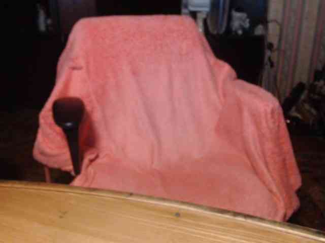 tanyvel webcam