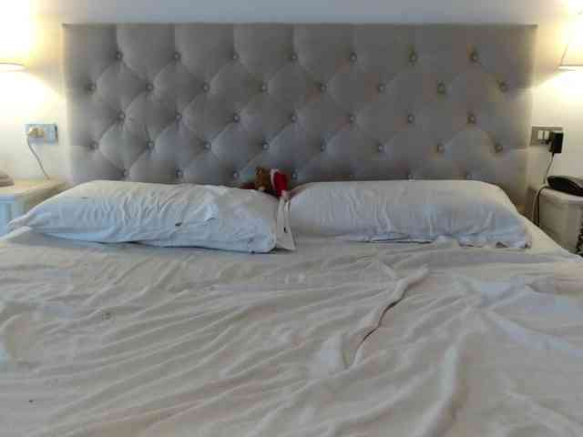 Sweet_Perry webcam