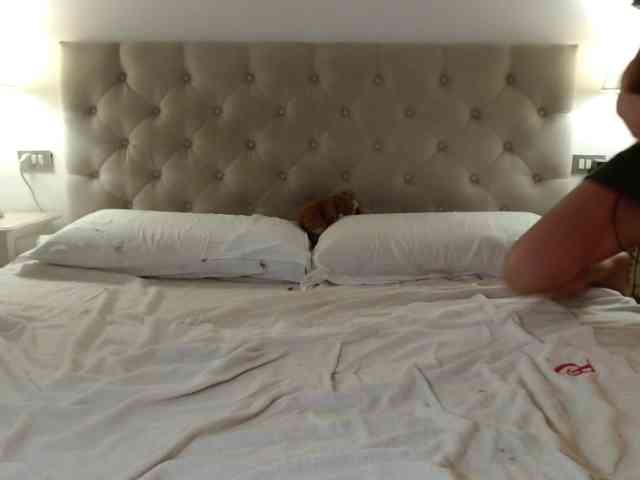 Sweet_Perry webcam