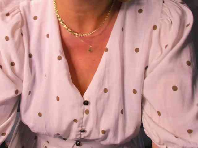 SoftVANESSA webcam