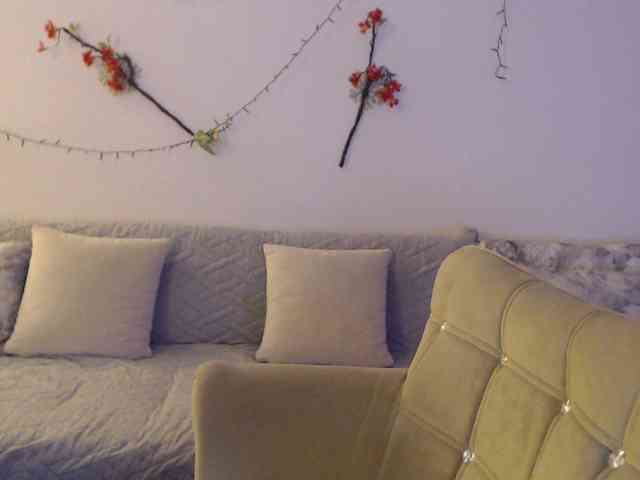 goodSnowQueen webcam