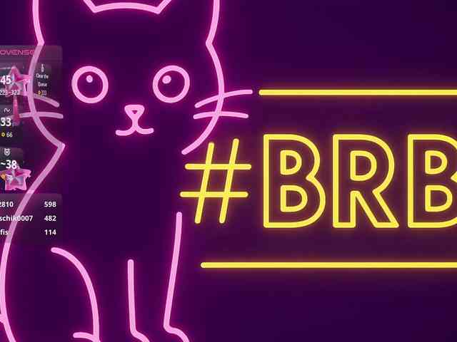 THE_BLACKcat webcam