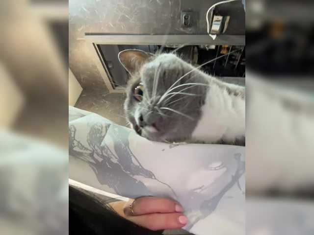 Vai a chattare su MagicMelody MagicMelody