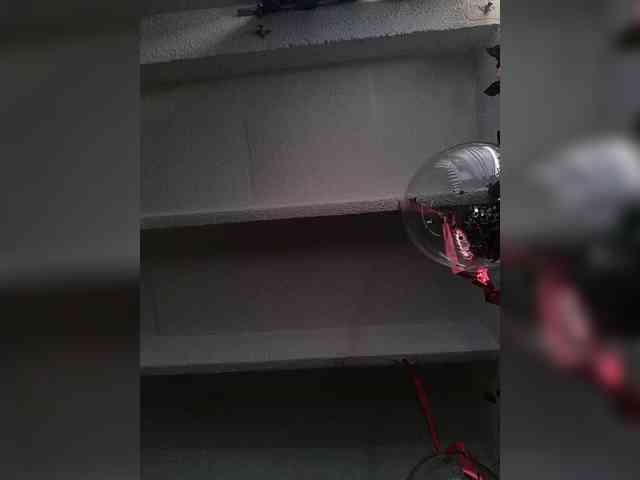 Cocochanell webcam