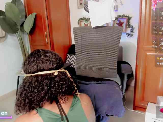 lindasnows webcam