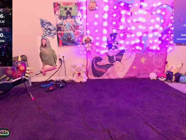 BabyZelda webcam