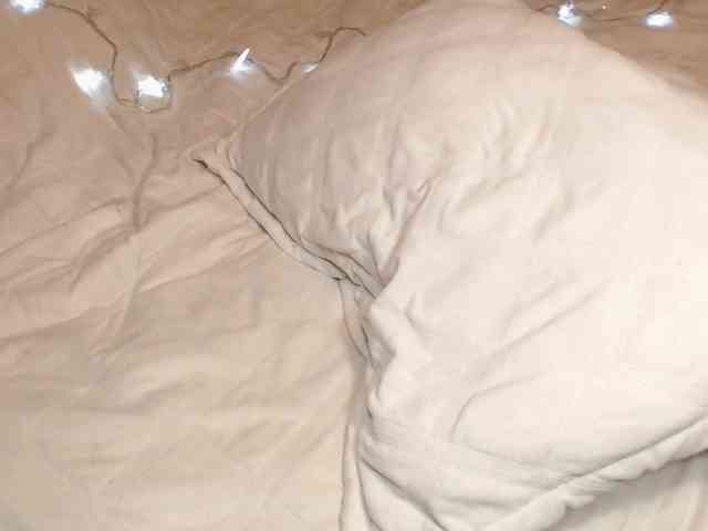 angelnextdoor webcam