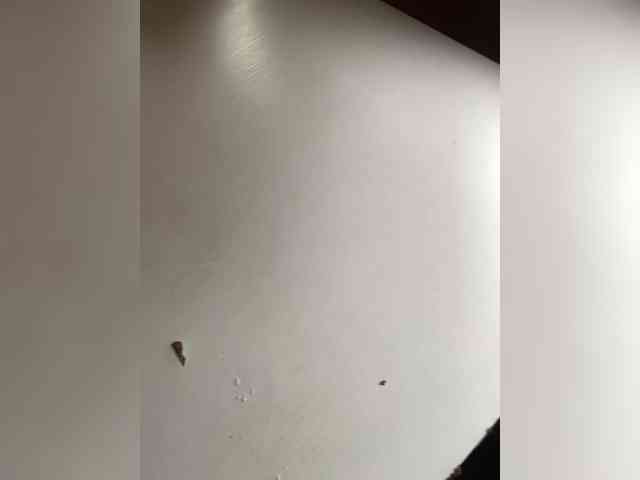 ProstoLolkaXXX webcam