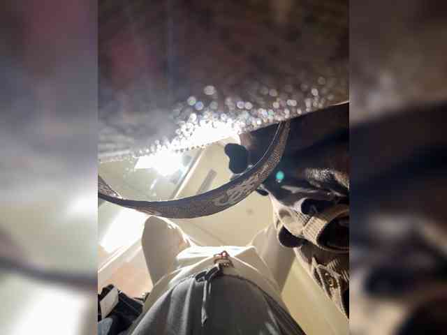 FetishTeacher webcam