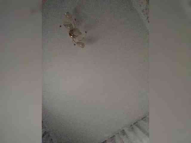 EmmaLust webcam