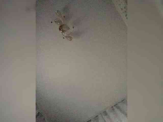 EmmaLust webcam