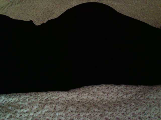 -magicrose- webcam
