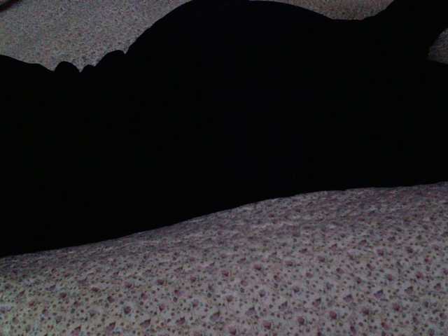 -magicrose- webcam