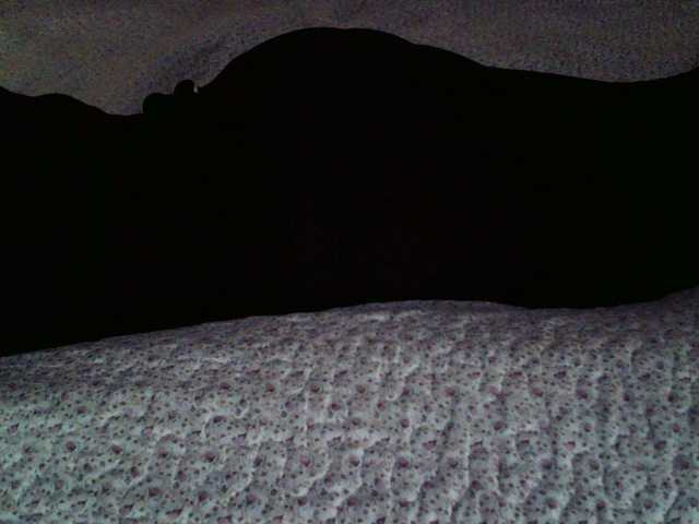 -magicrose- webcam