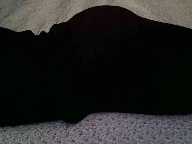 -magicrose- webcam