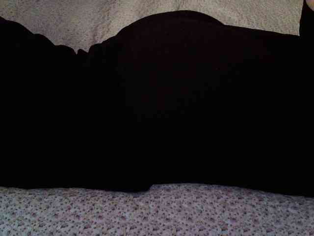 -magicrose- webcam